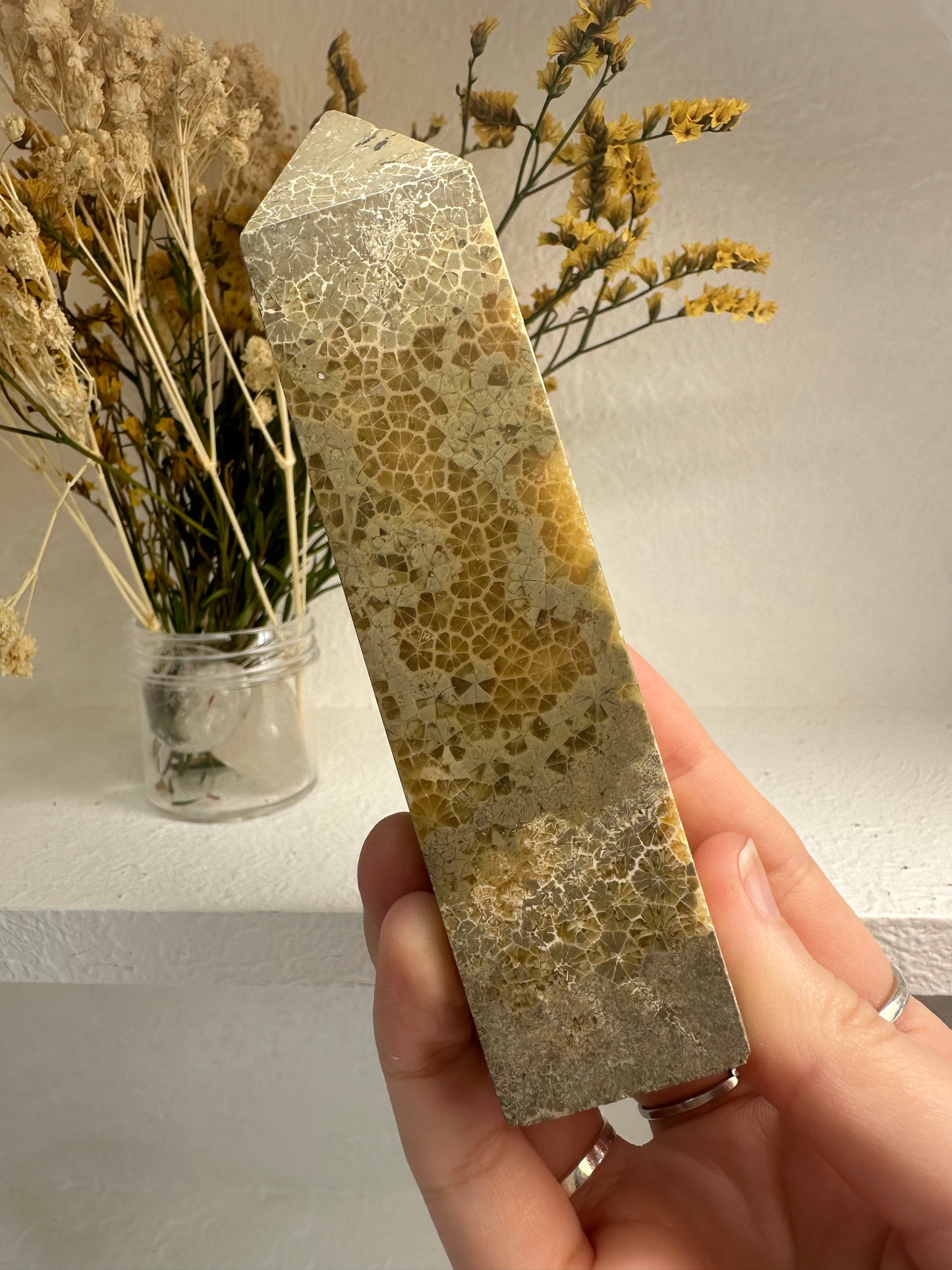Fossilised Coral Tower