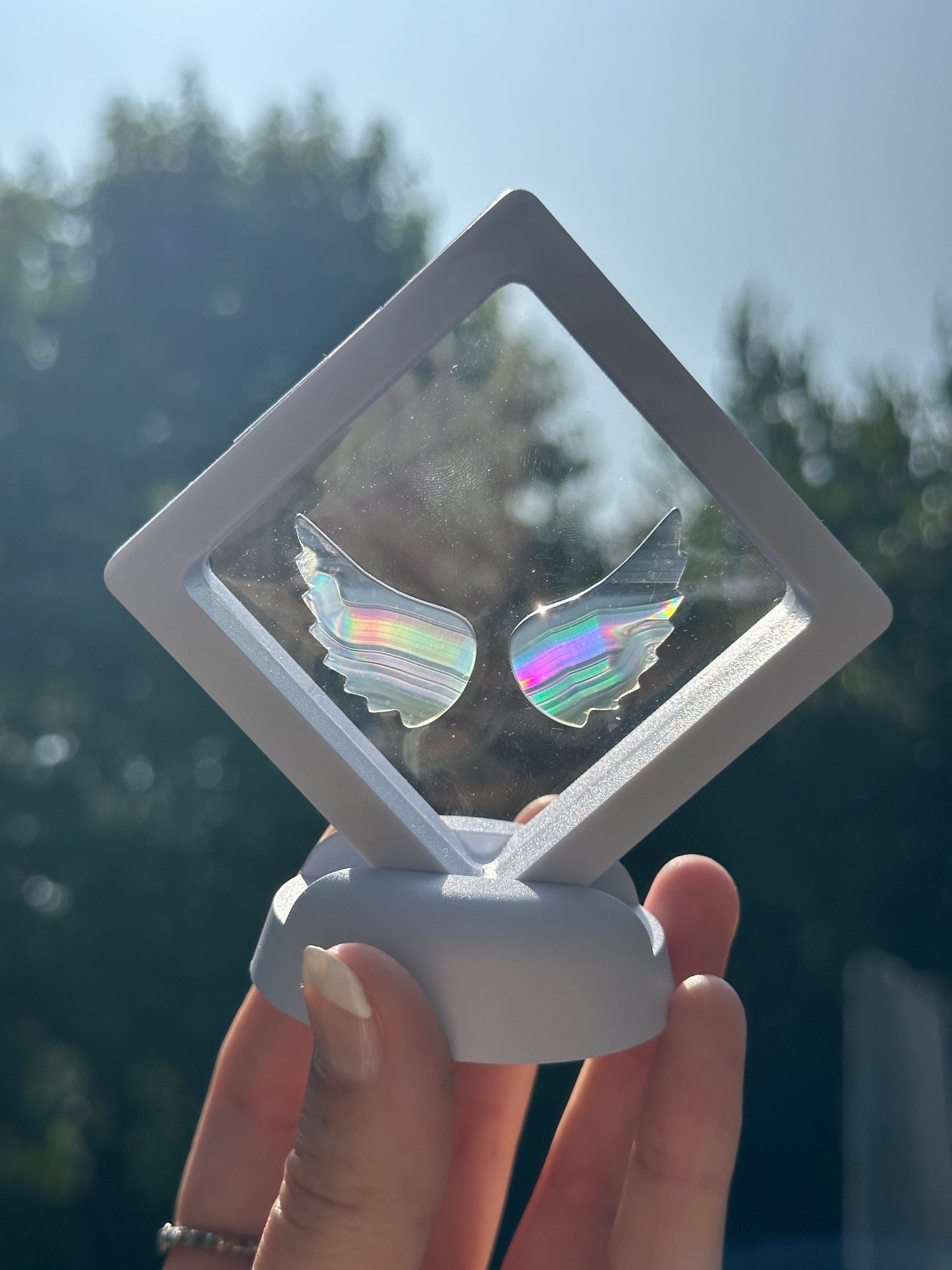 Iris Agate Angel Wings