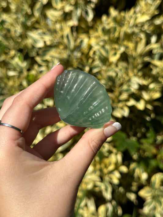Green Fluorite Clam Shell
