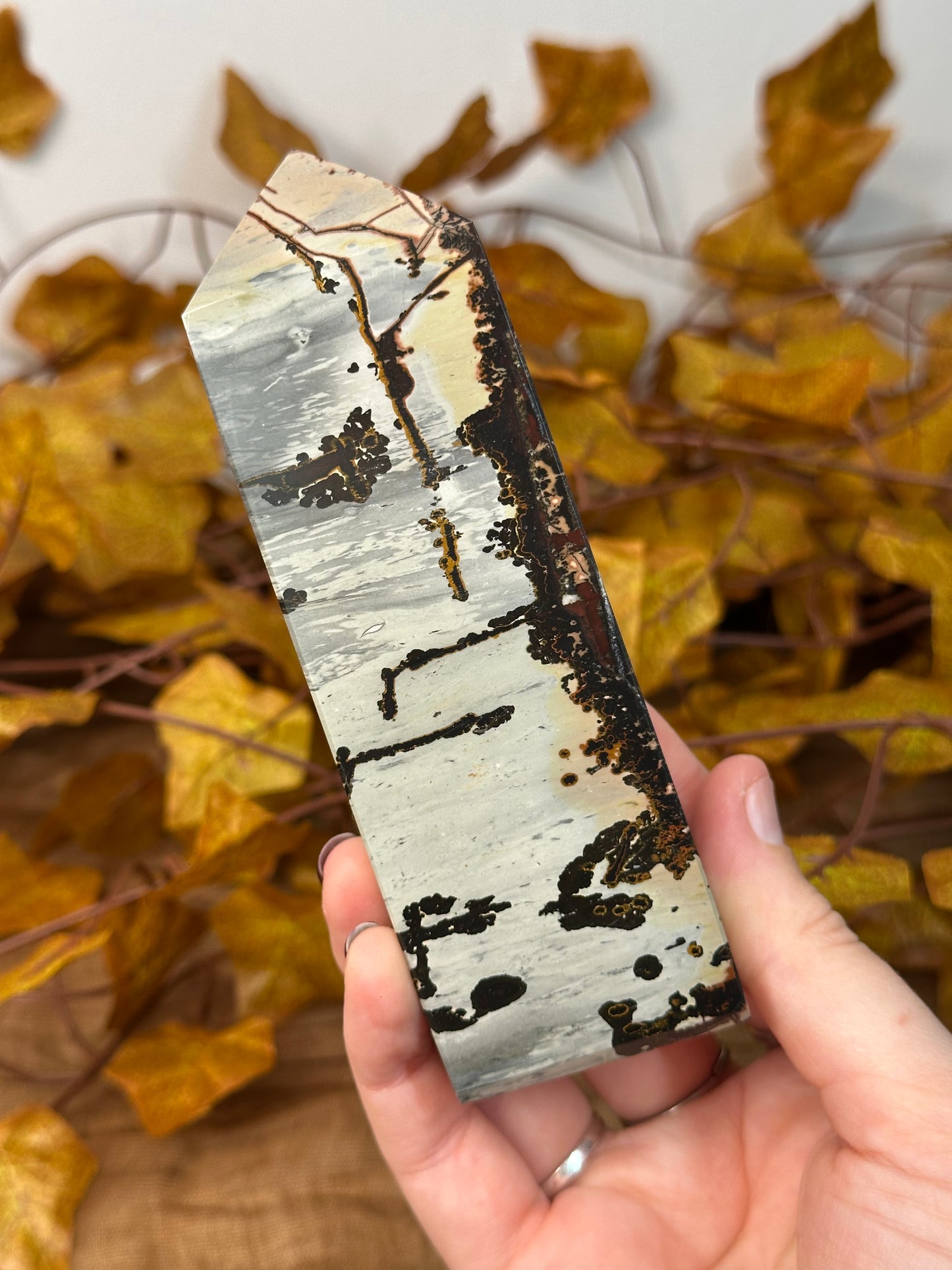 Picture Jasper Towers