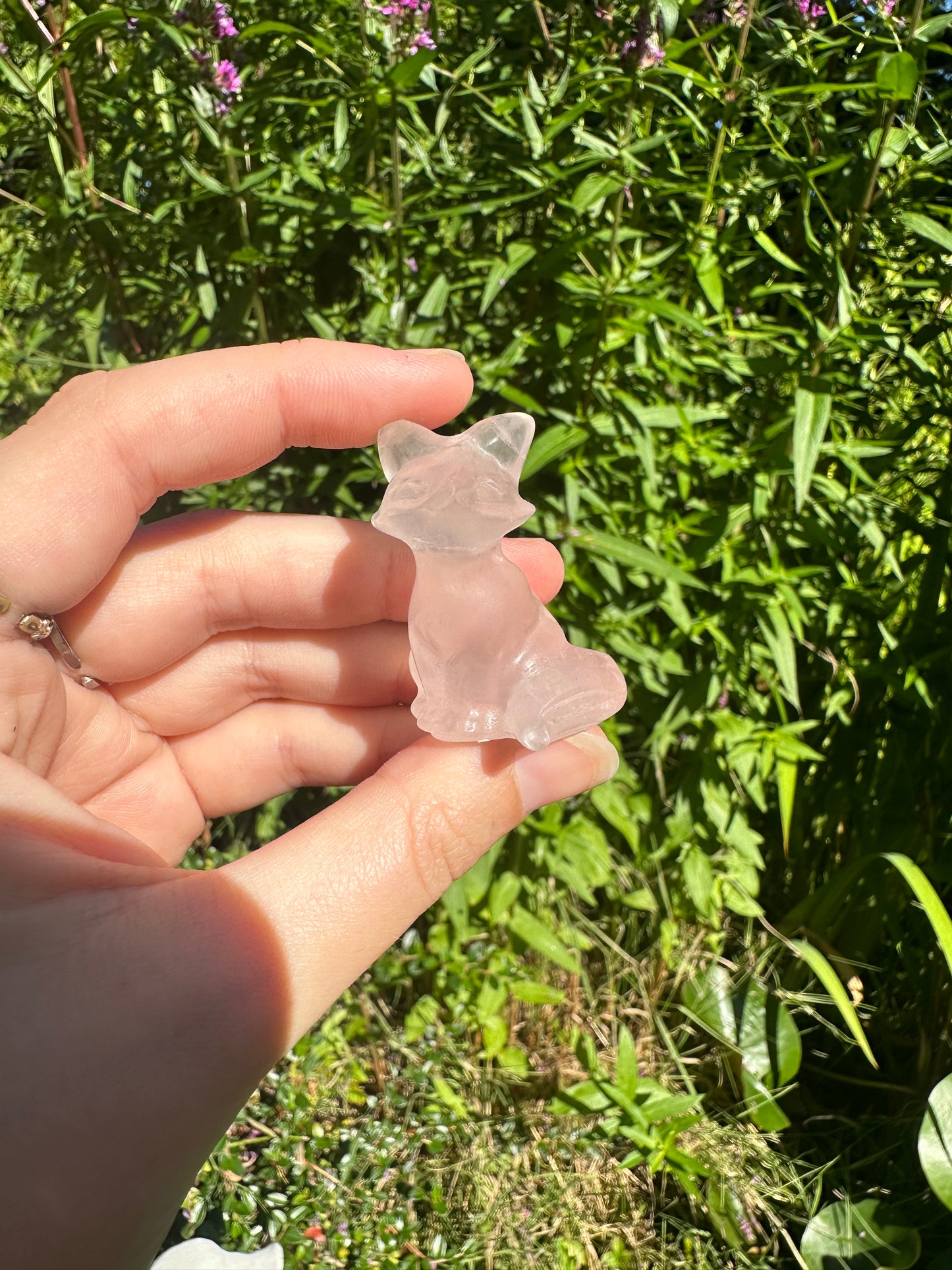 Rose Quartz Foxes