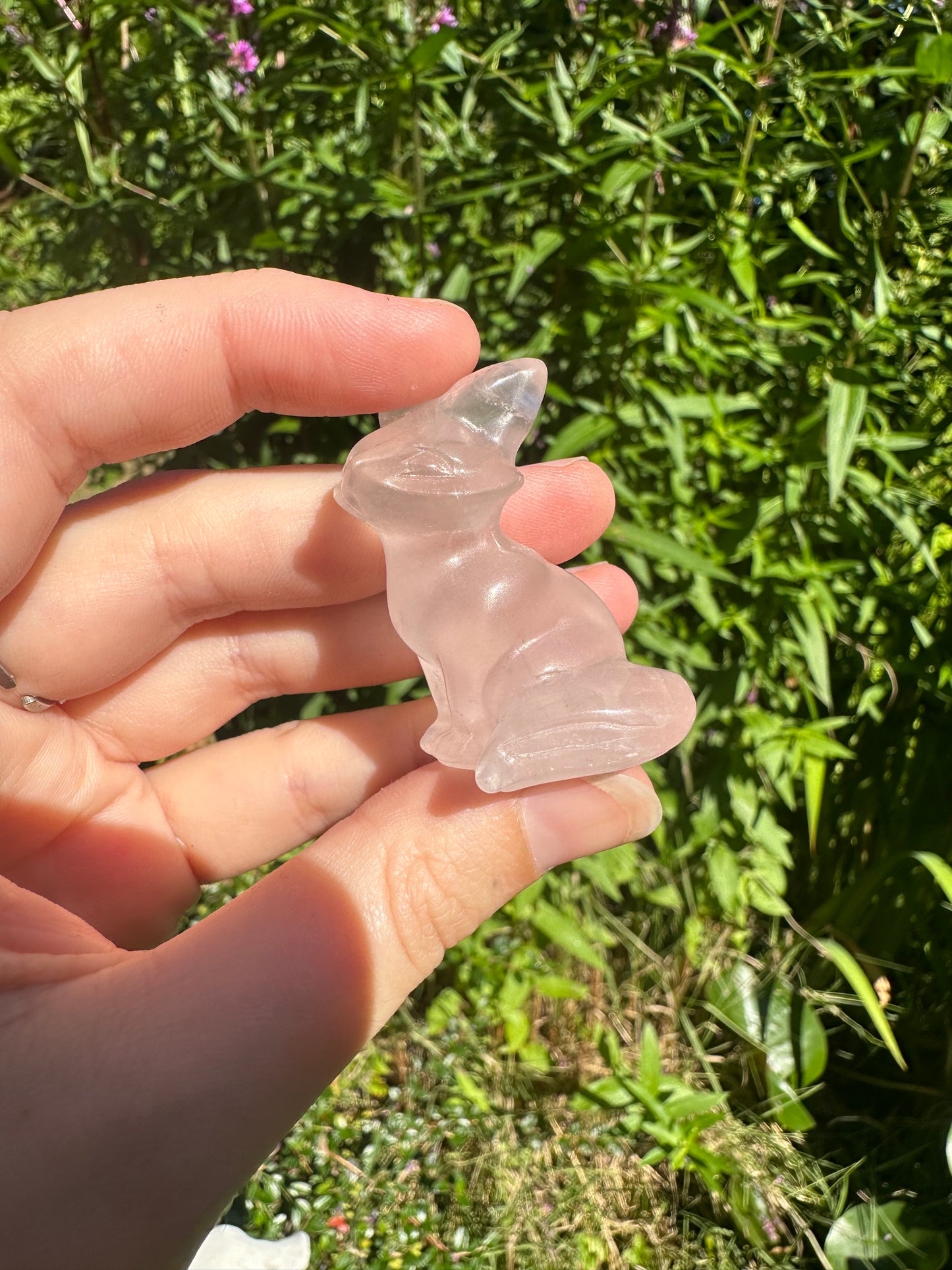 Rose Quartz Foxes