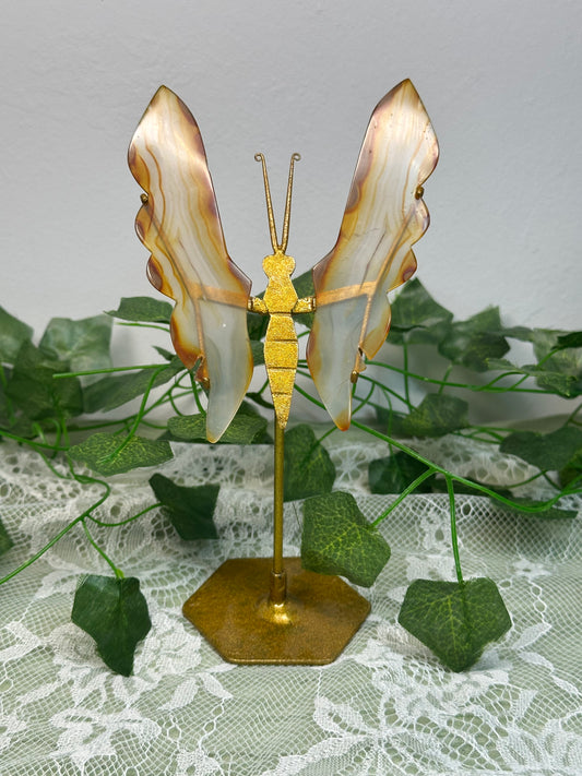 Iris Agate Butterfly A