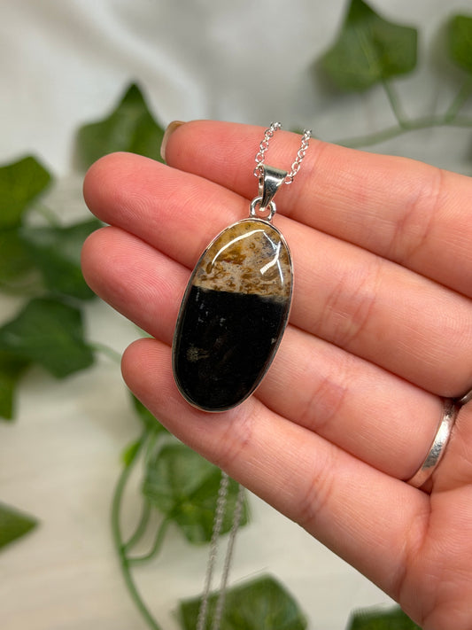 Oval Petrified Wood Pendant (925 Sterling Silver)