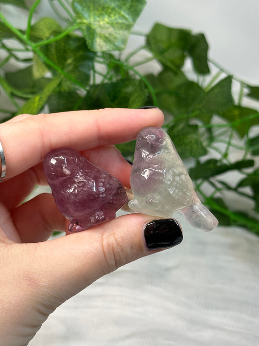 Fluorite Birds