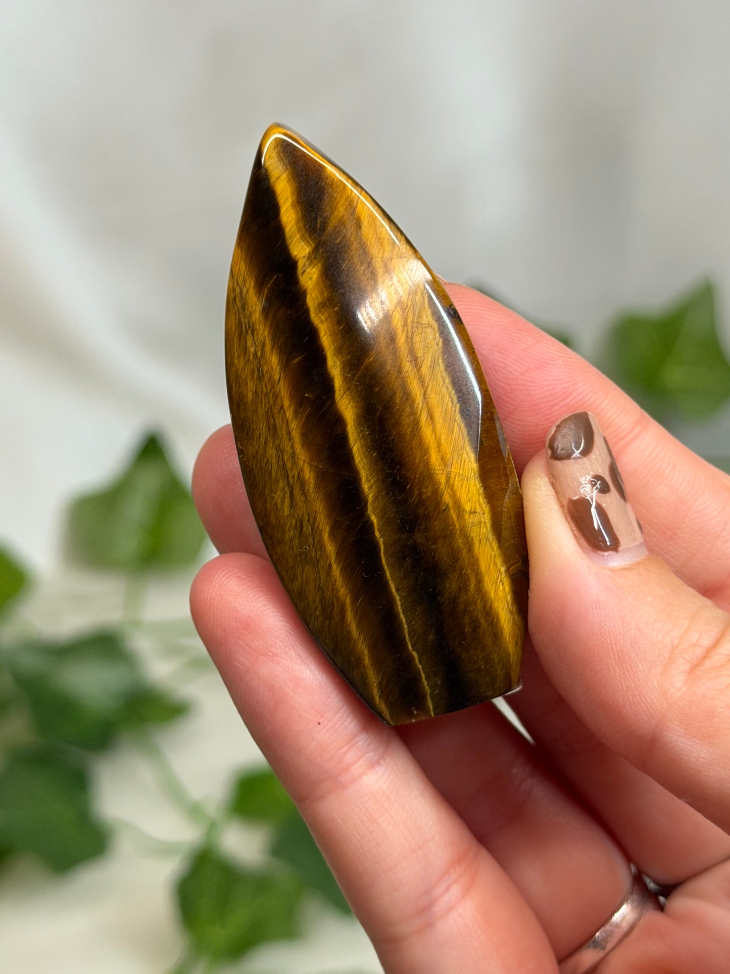 Tiger Eye Teardrops
