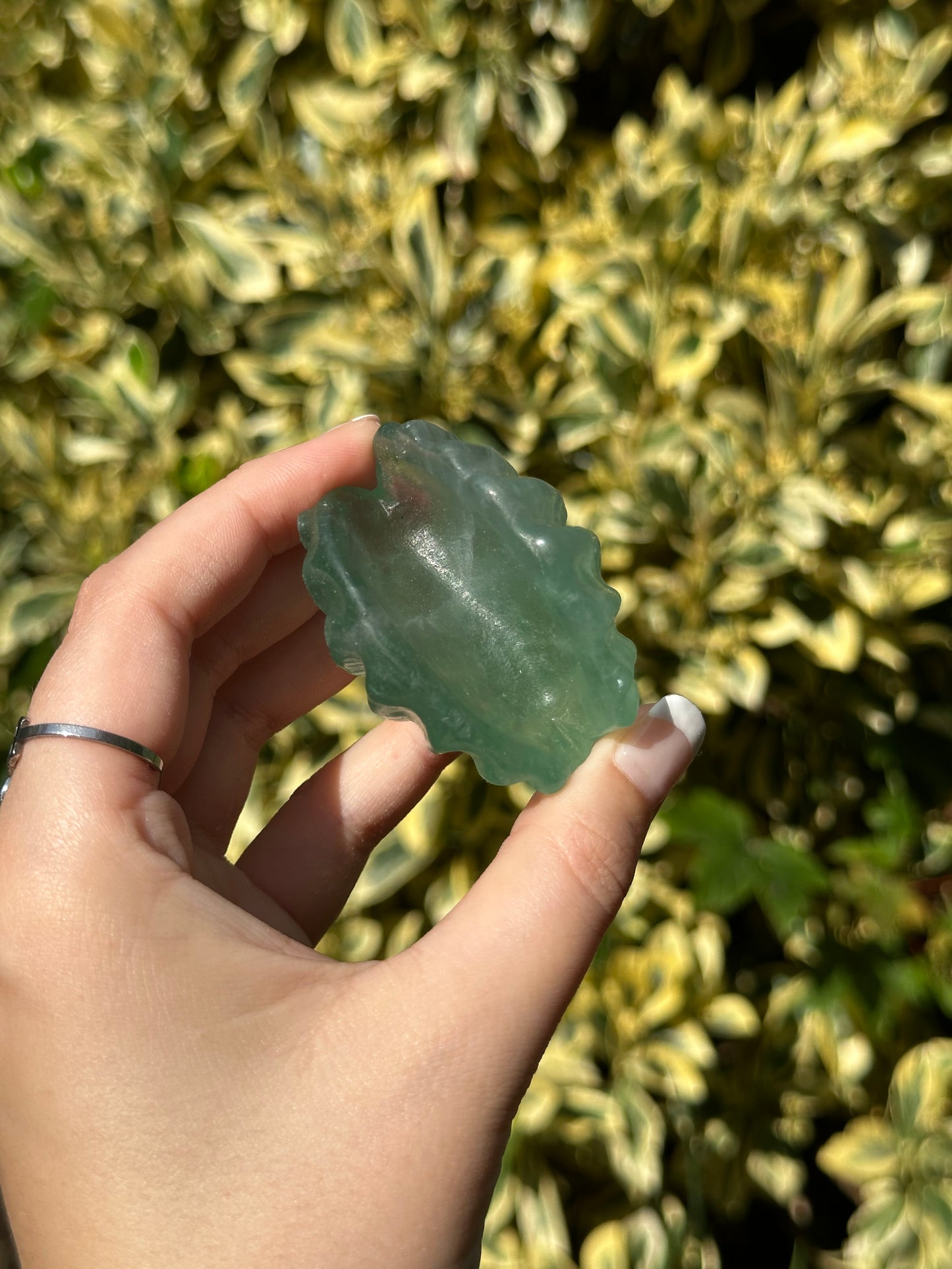 Green Fluorite Clam Shell