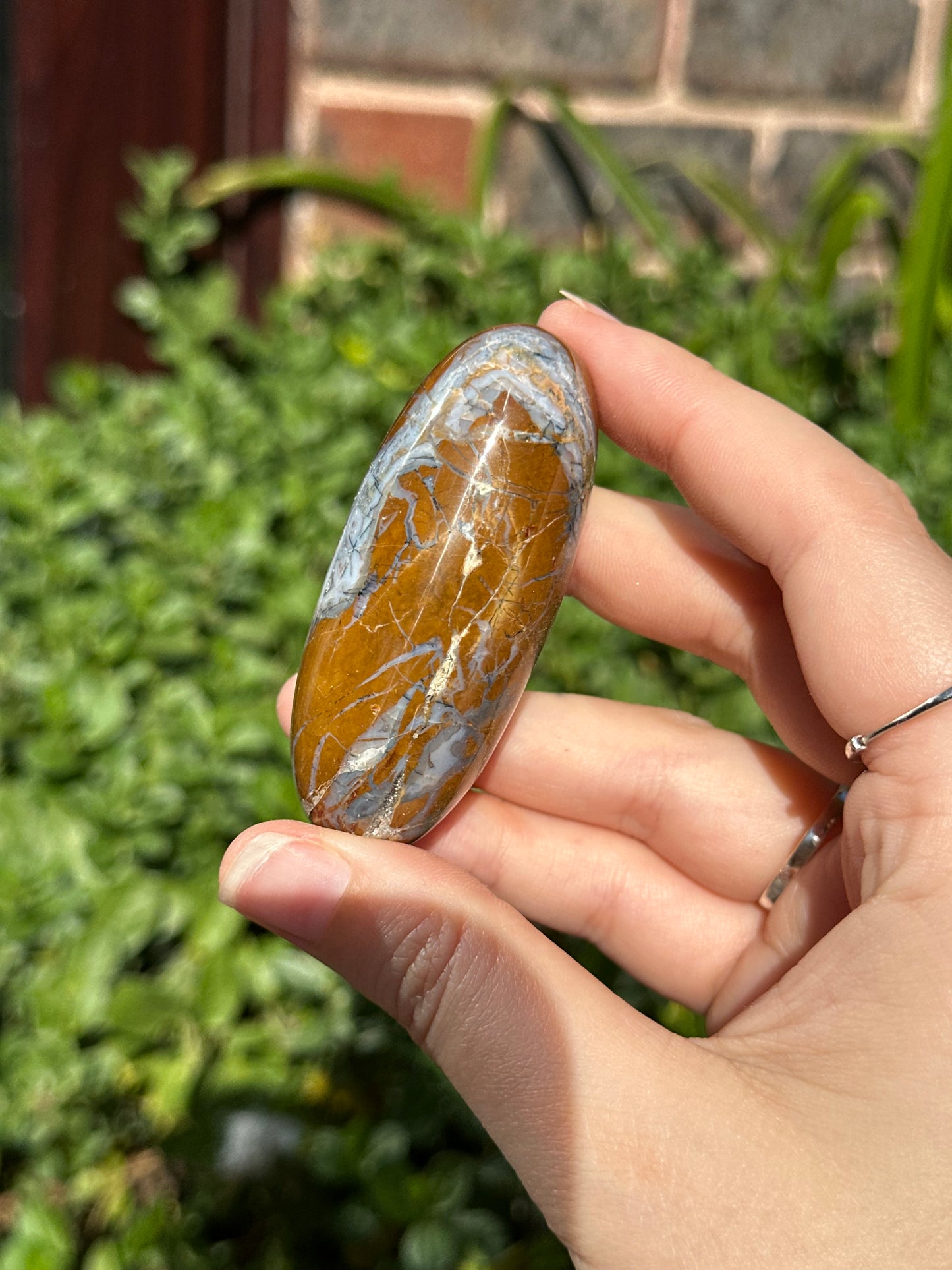 Brecciated Jasper Shiva