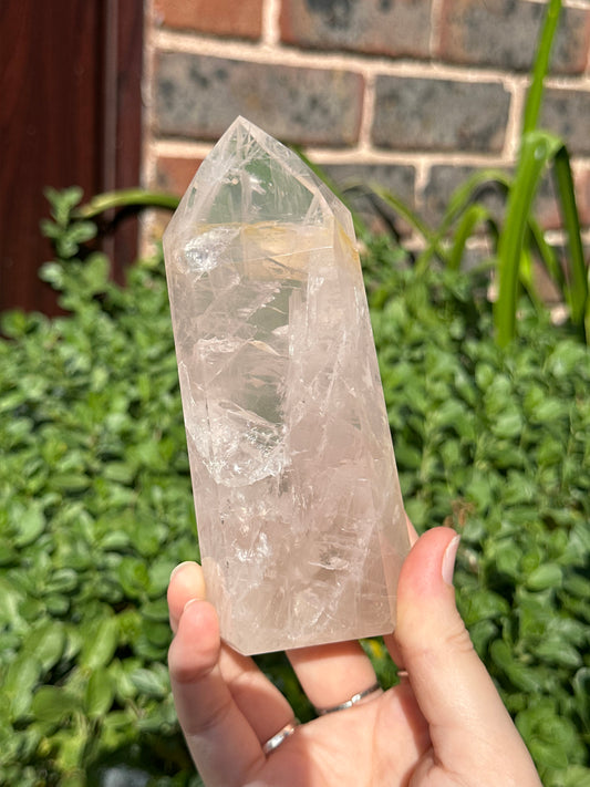 Rose x Golden Healer Tower