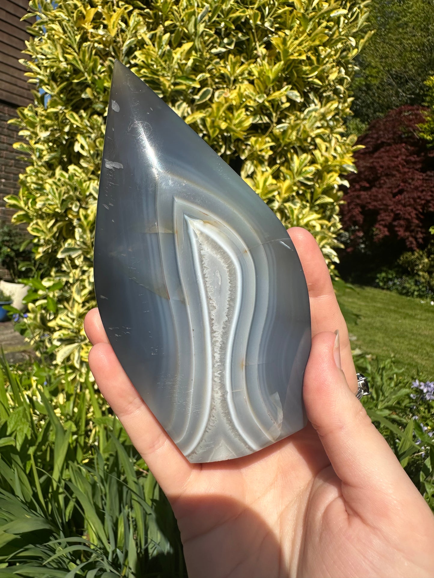 Banded Agate Shield