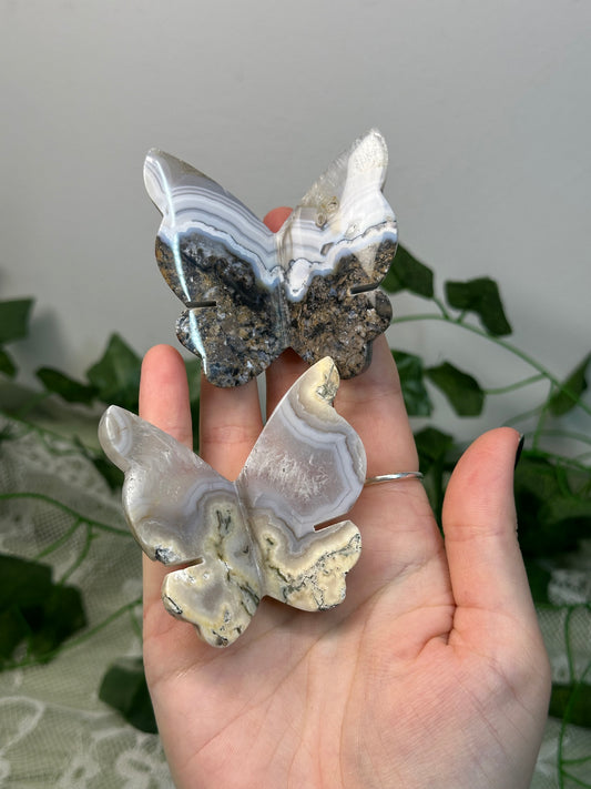 Agate Butterflies