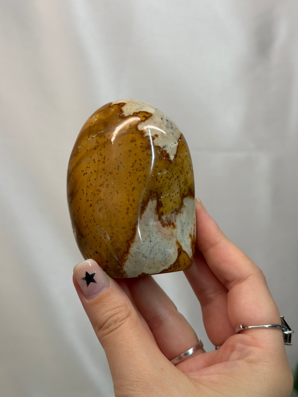 Polychrome Jasper Freeform