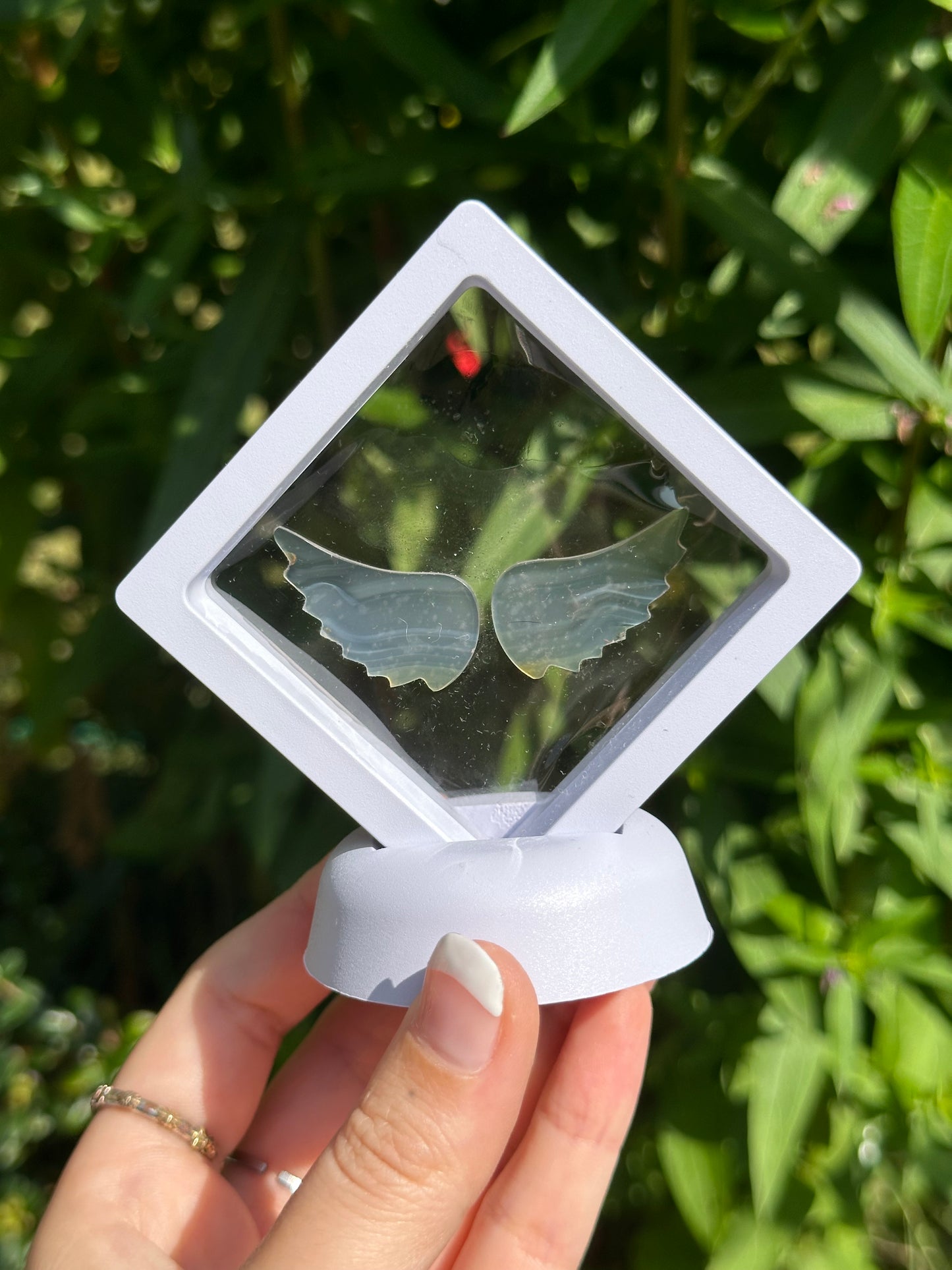 Iris Agate Angel Wings