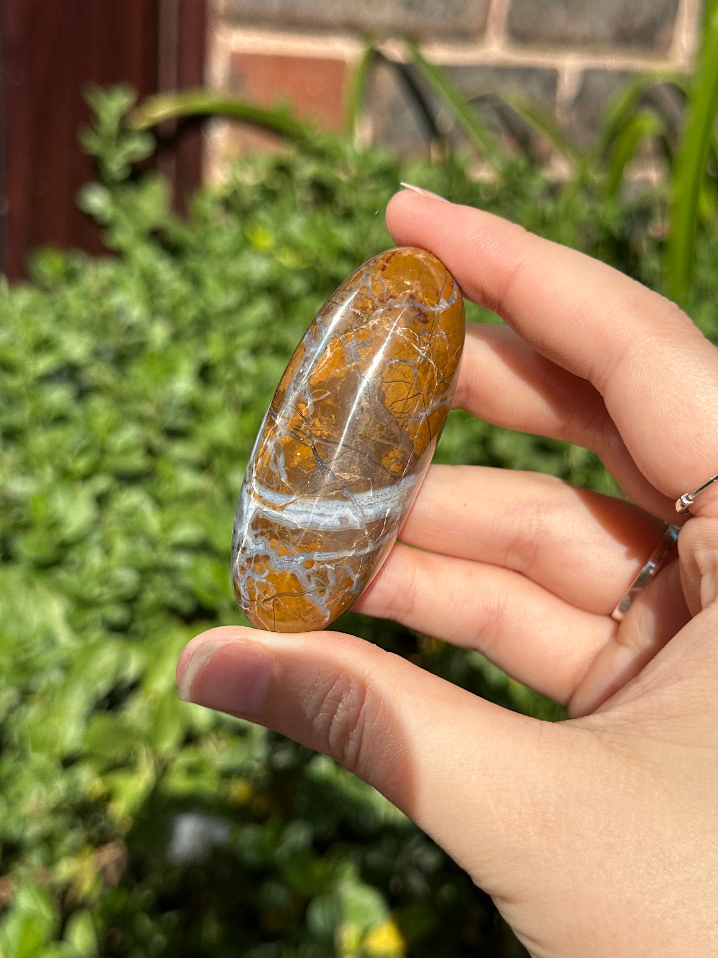 Brecciated Jasper Shiva
