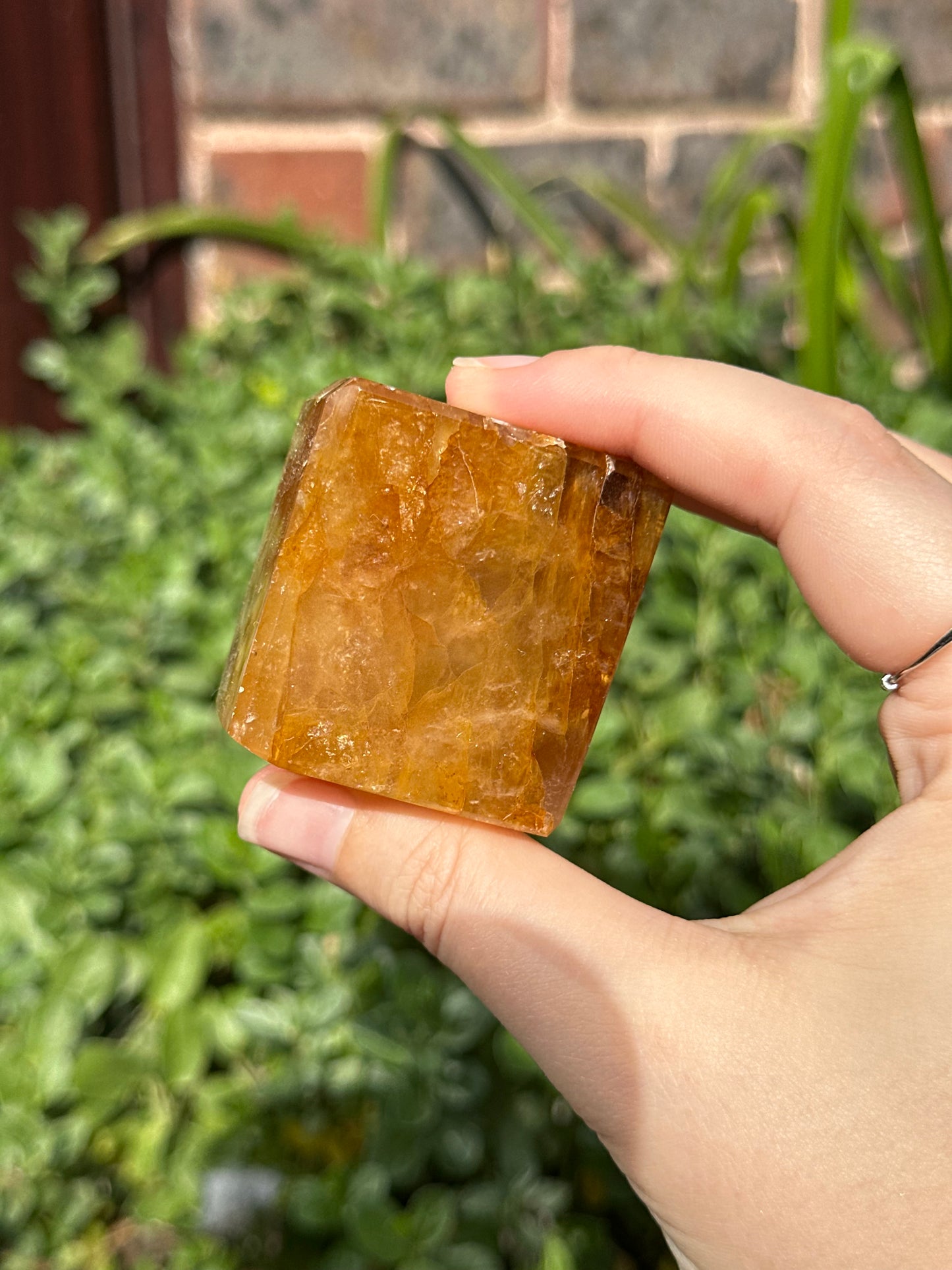 Golden Healer Freeform