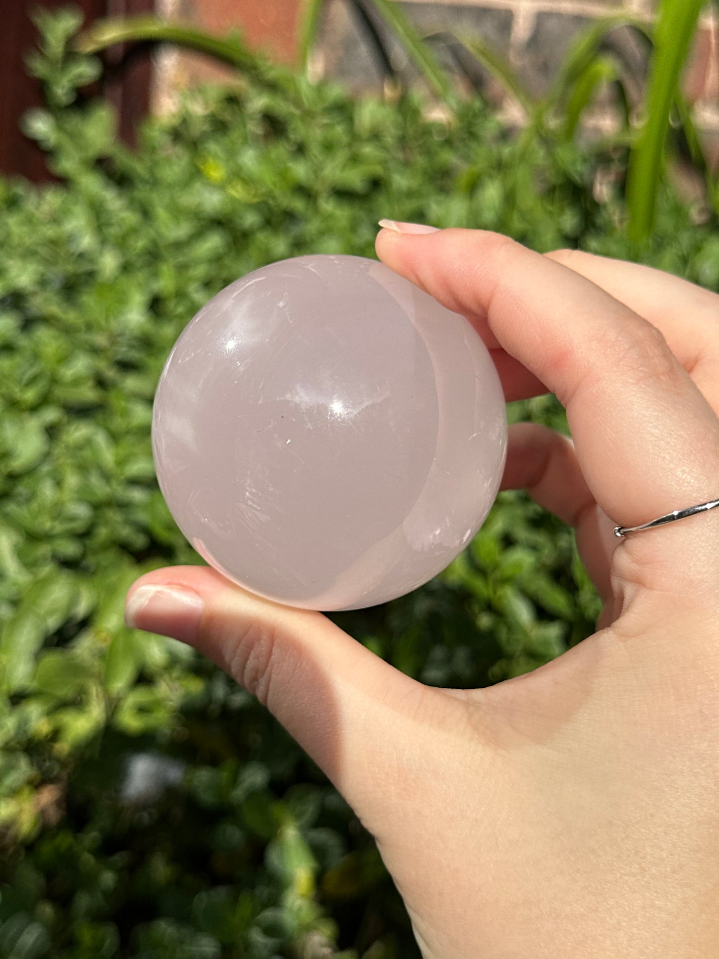 5.7cm Star Rose Quartz Sphere