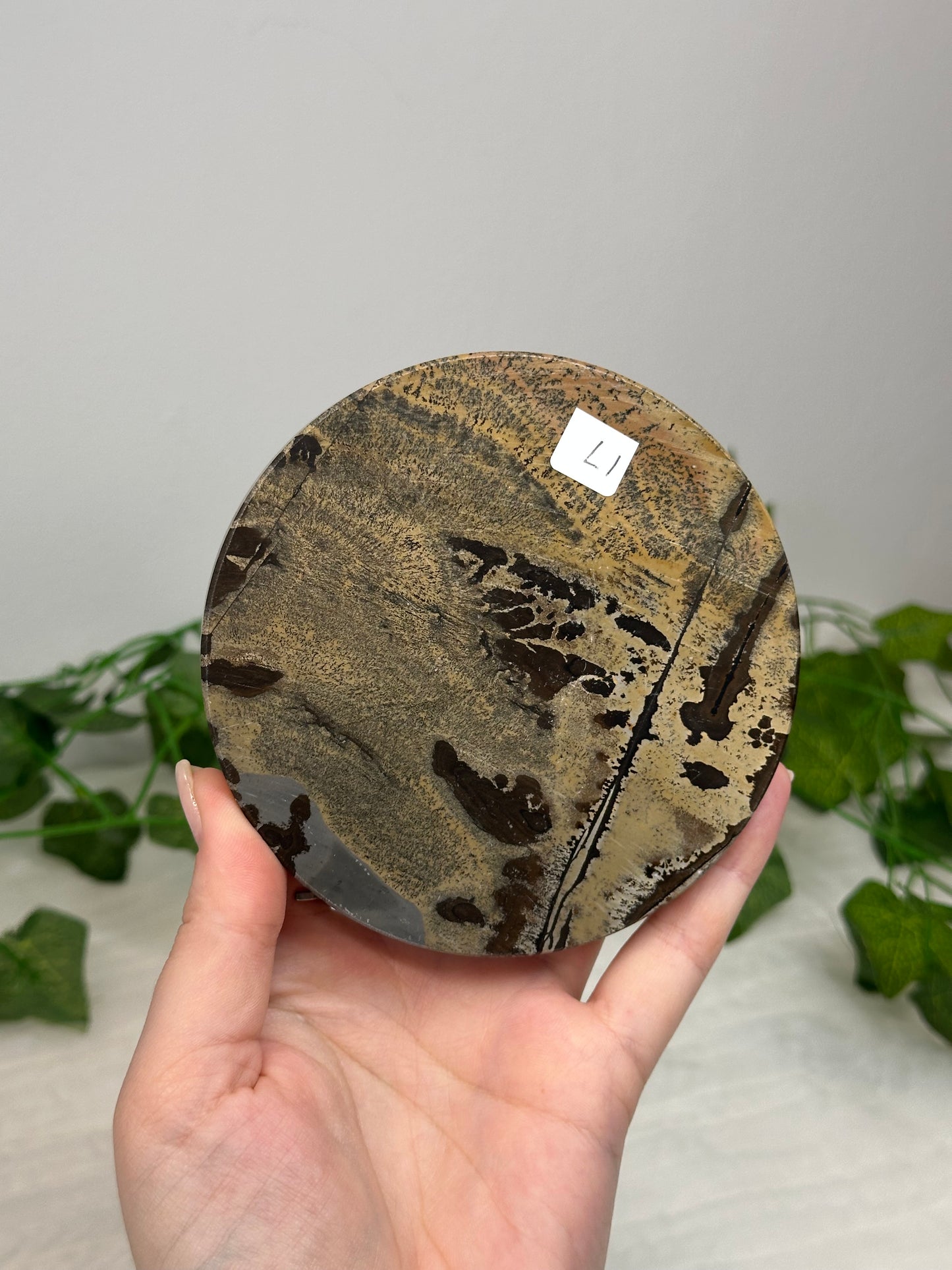 Picture Jasper Coaster