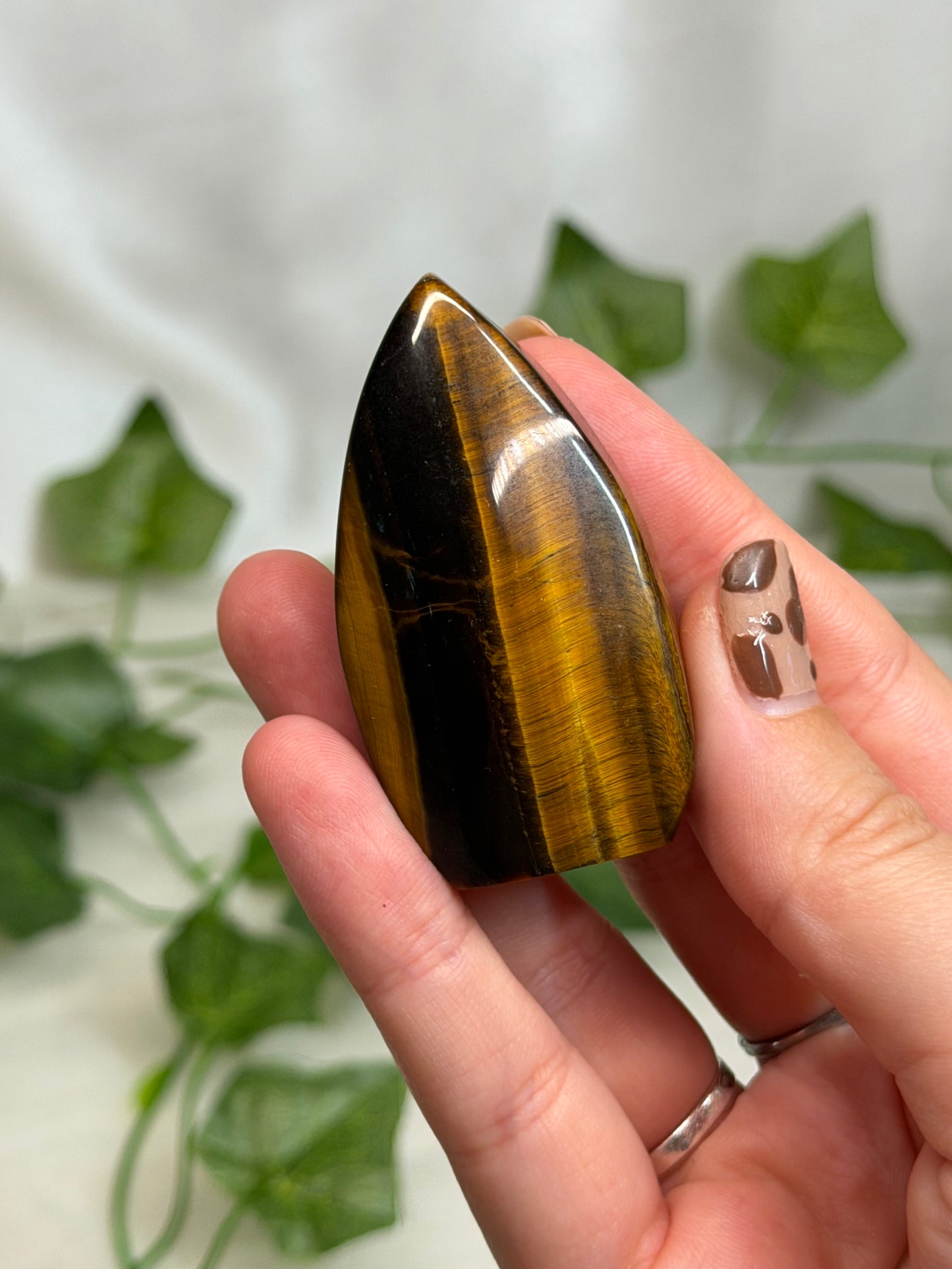 Tiger Eye Teardrops