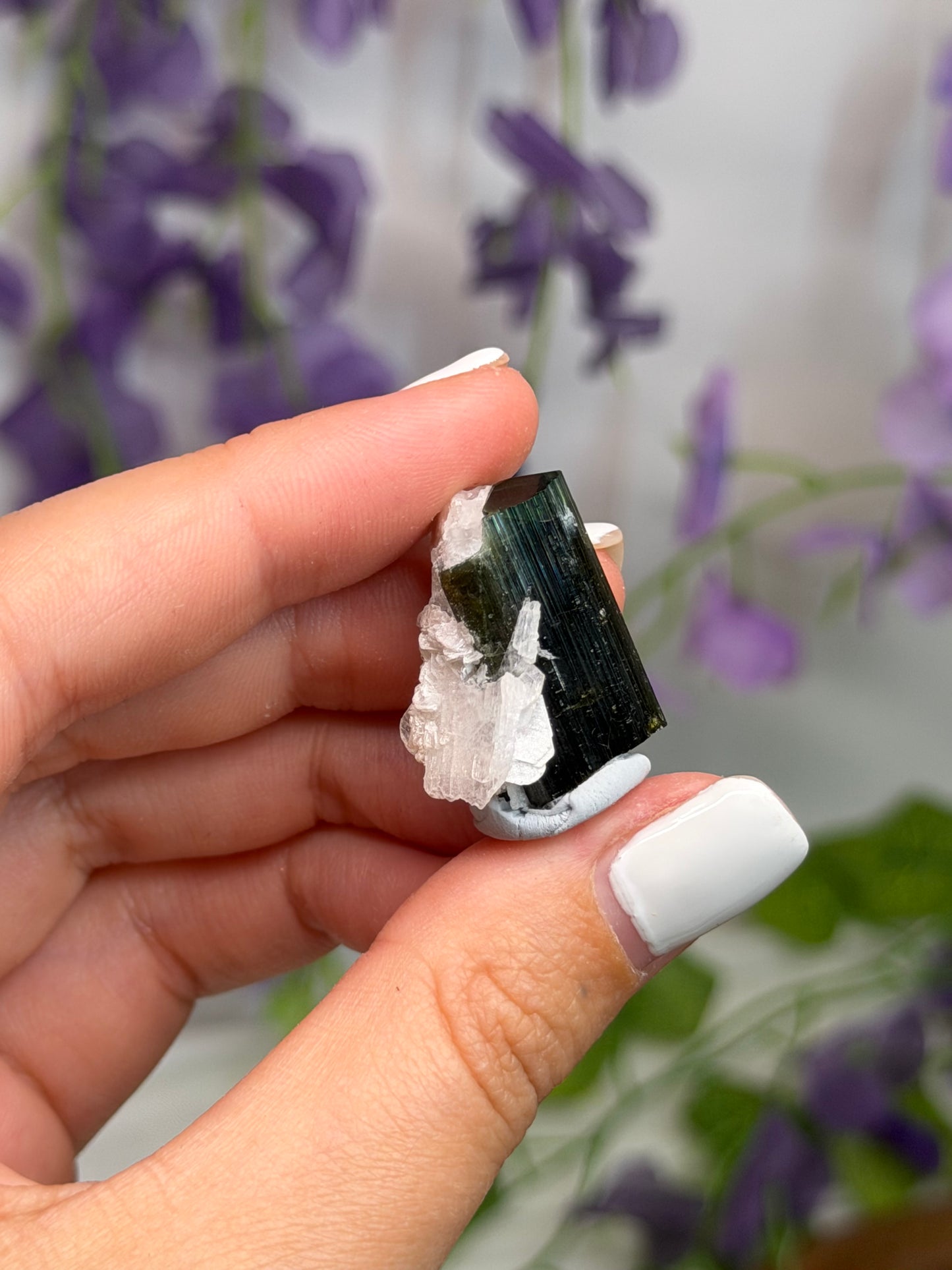 Green Cap Tourmaline w Quartz & Albite