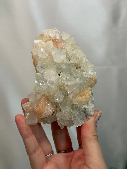 Apophyllite with Stilbite