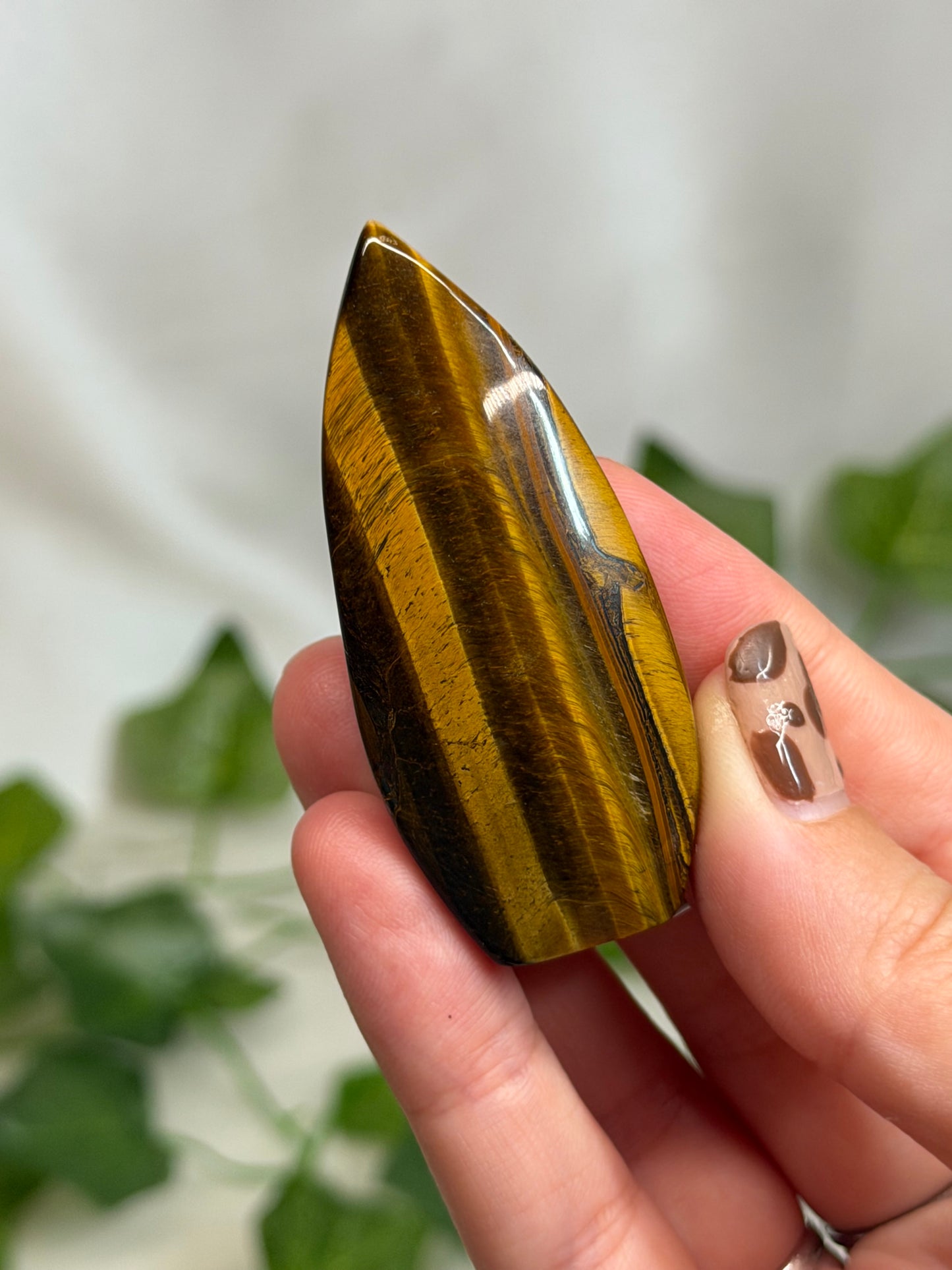 Tiger Eye Teardrops