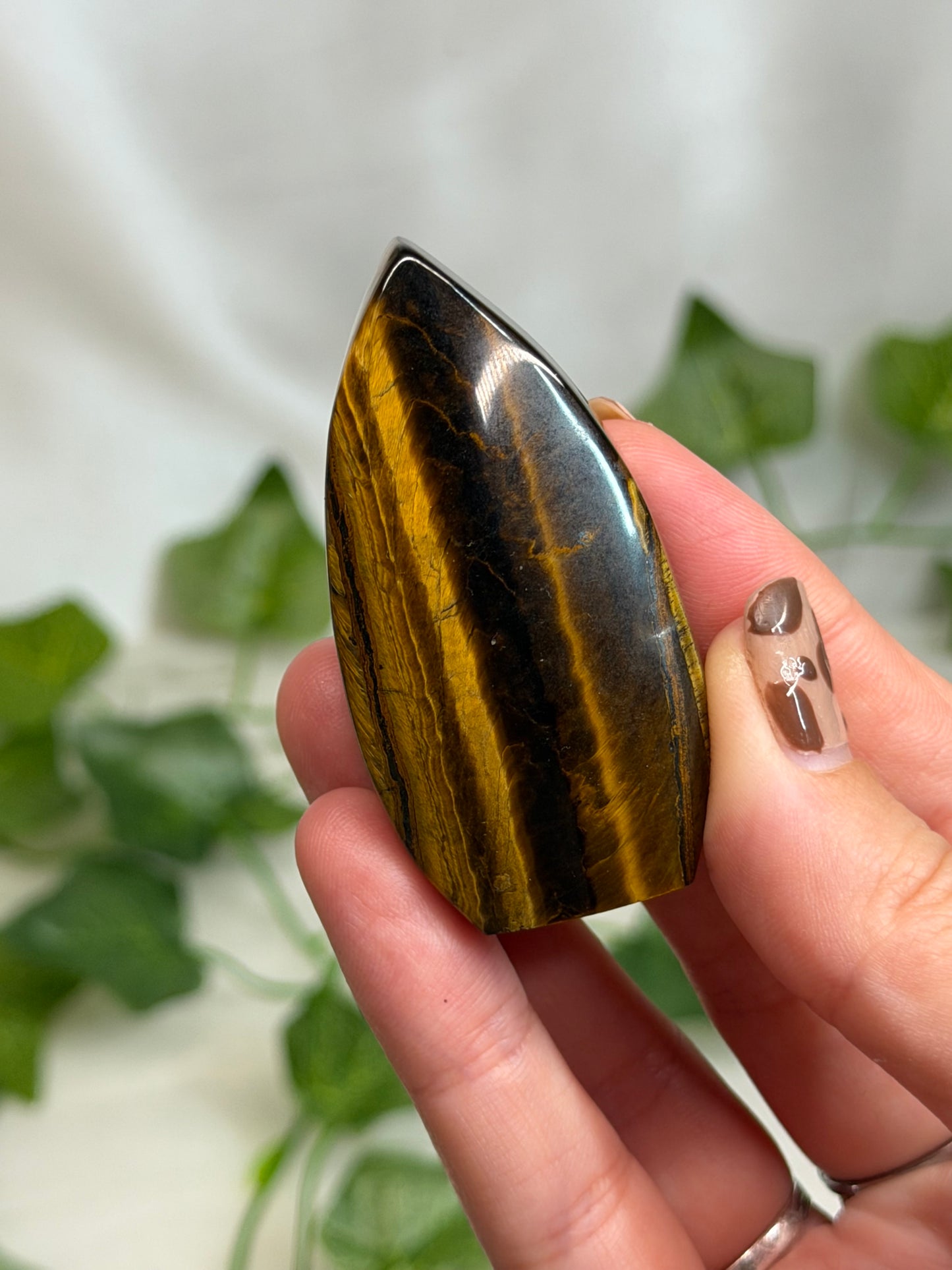 Tiger Eye Teardrops