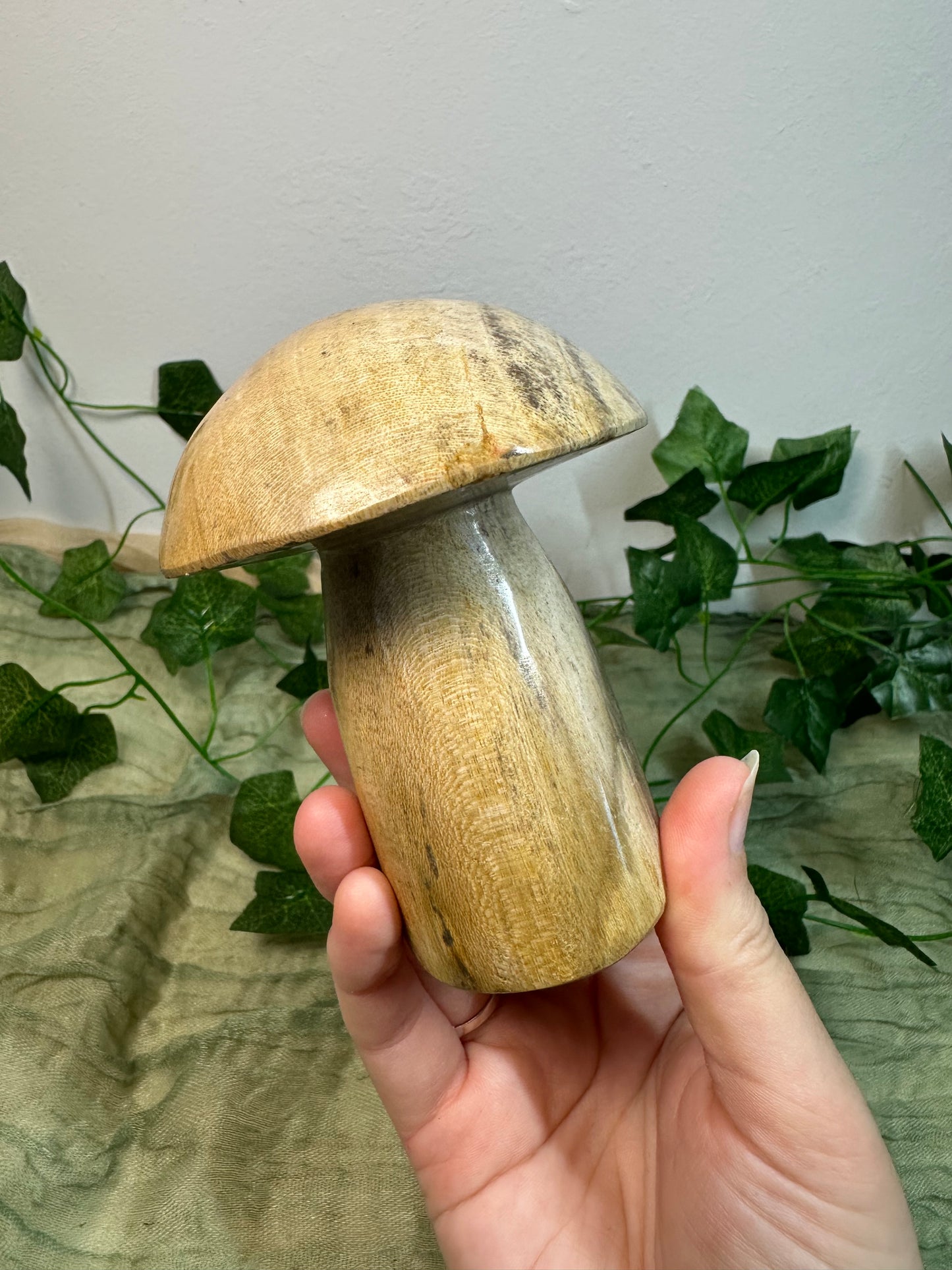 Petrified Wood Mushroom