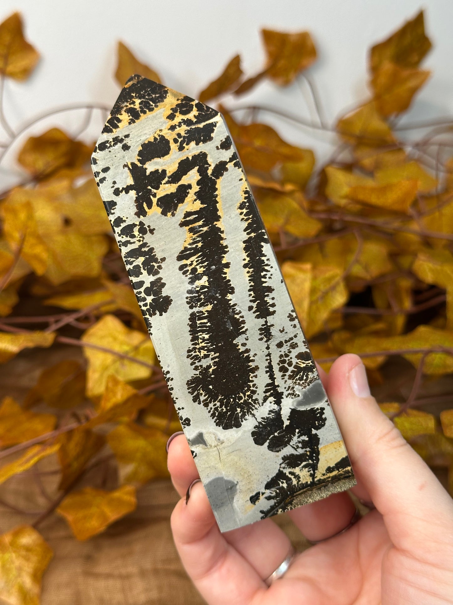 Picture Jasper Towers