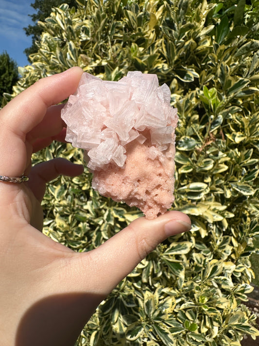 Pink Halite Specimen