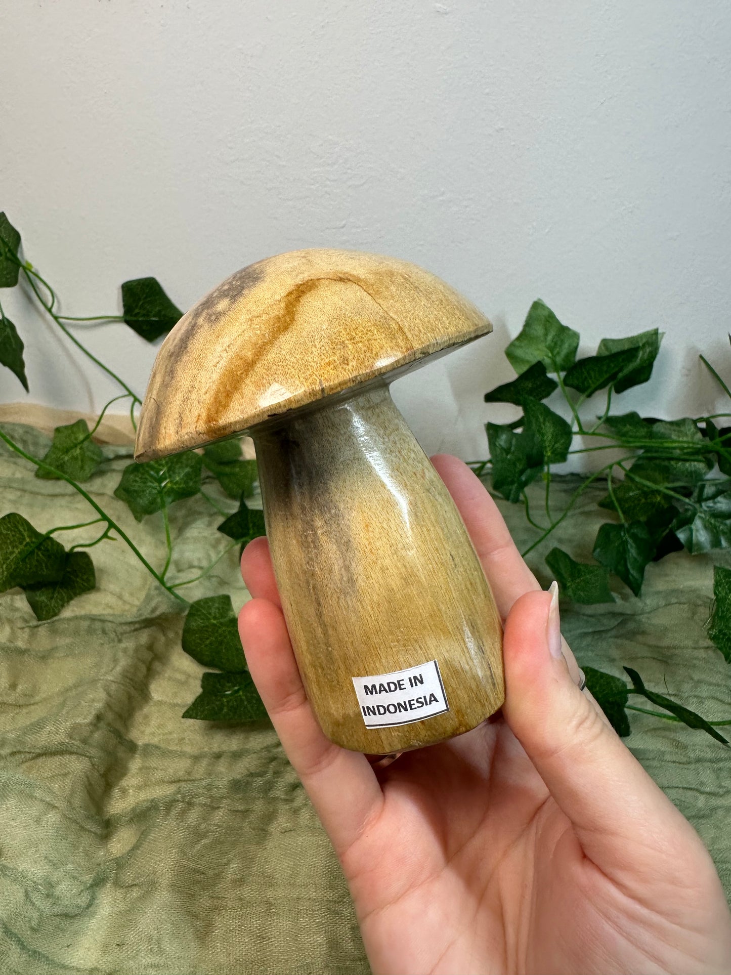 Petrified Wood Mushroom
