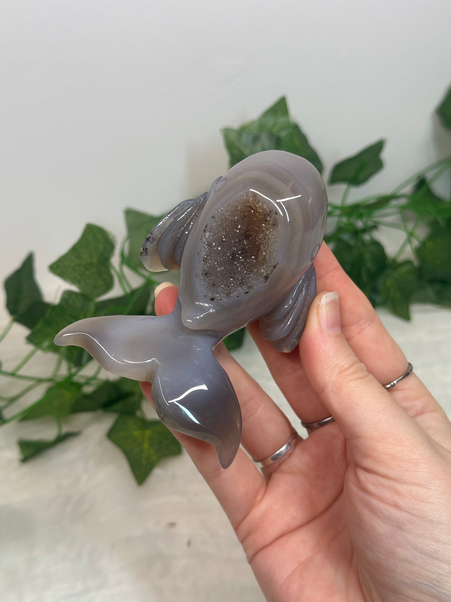 Druzy Agate Whale