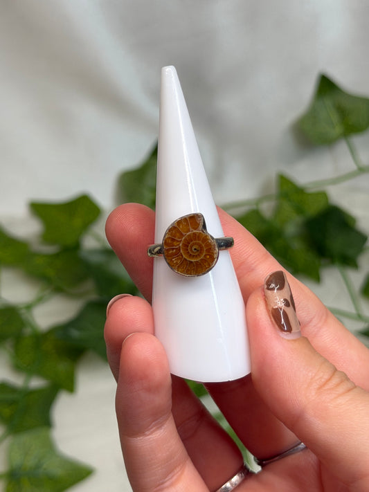 Ammonite Ring Size M (925 Sterling Silver)