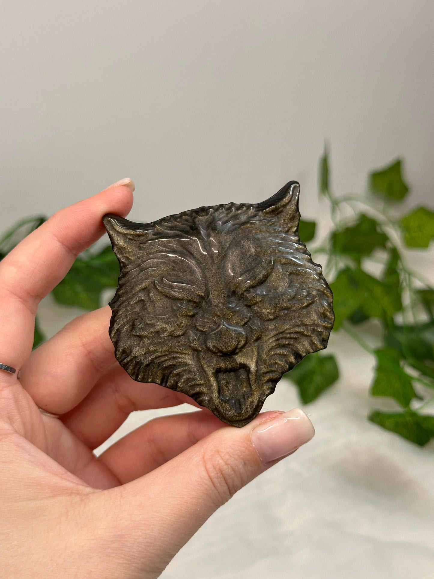 Gold Sheen Obsidian Wolf Head