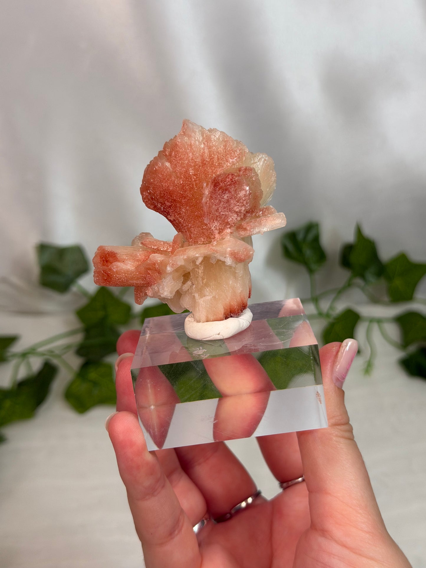 Hematite Coated Peach Stilbite Bows