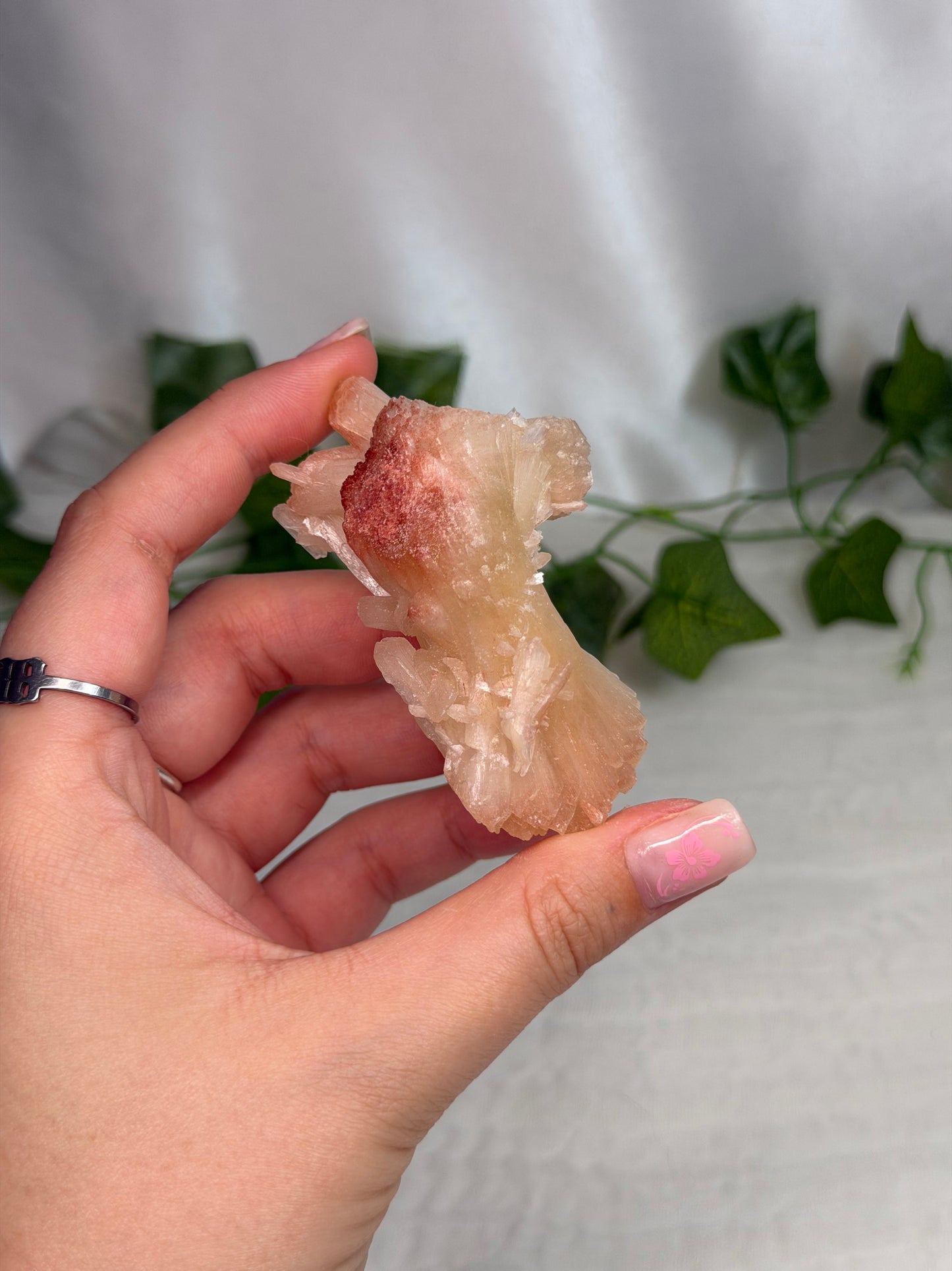Hematite Coated Peach Stilbite Bows