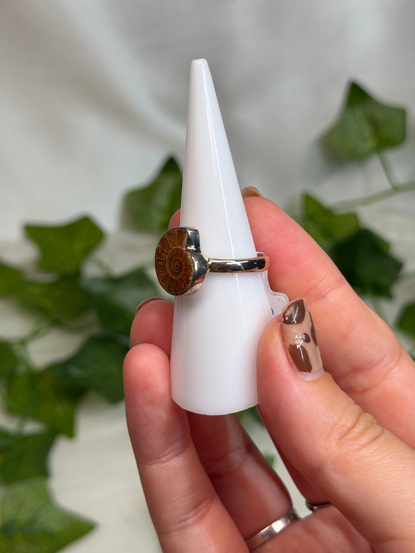 Ammonite Ring Size M (925 Sterling Silver)
