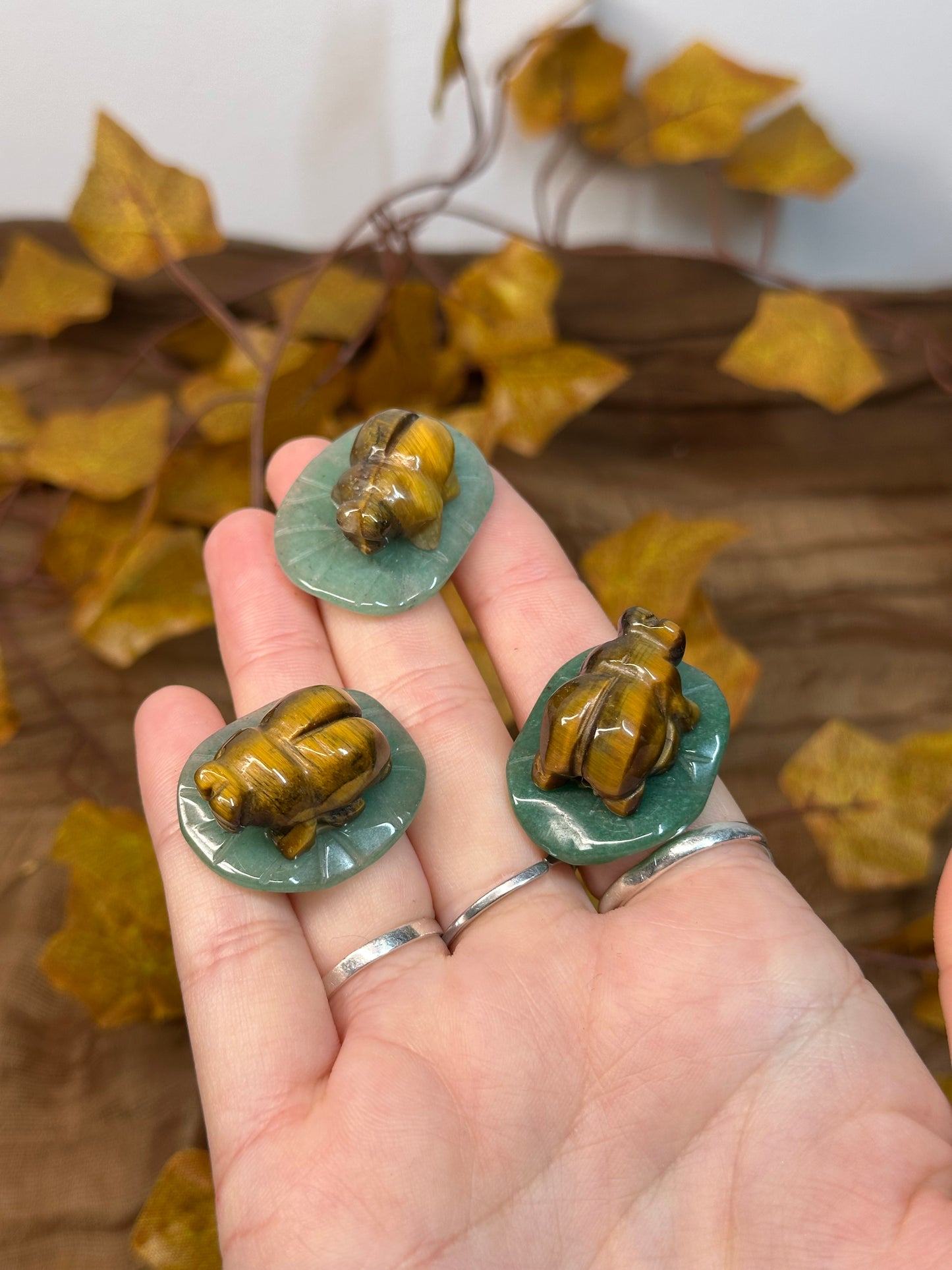 Tiger Eye Bug on Green Aventurine Leaf