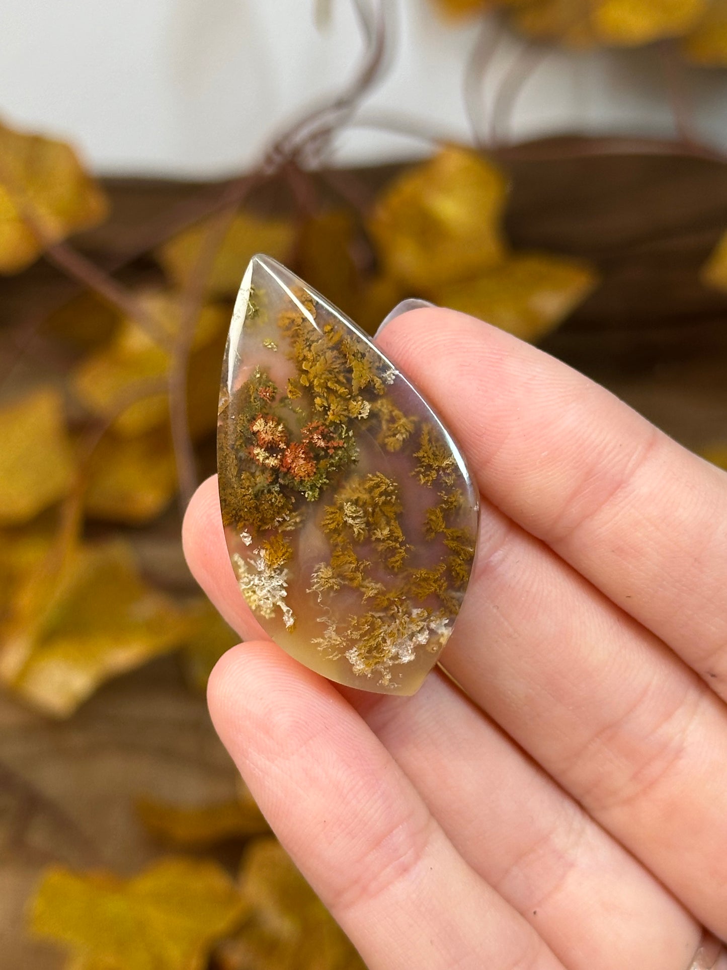 Scenic Moss Agate Cabochons
