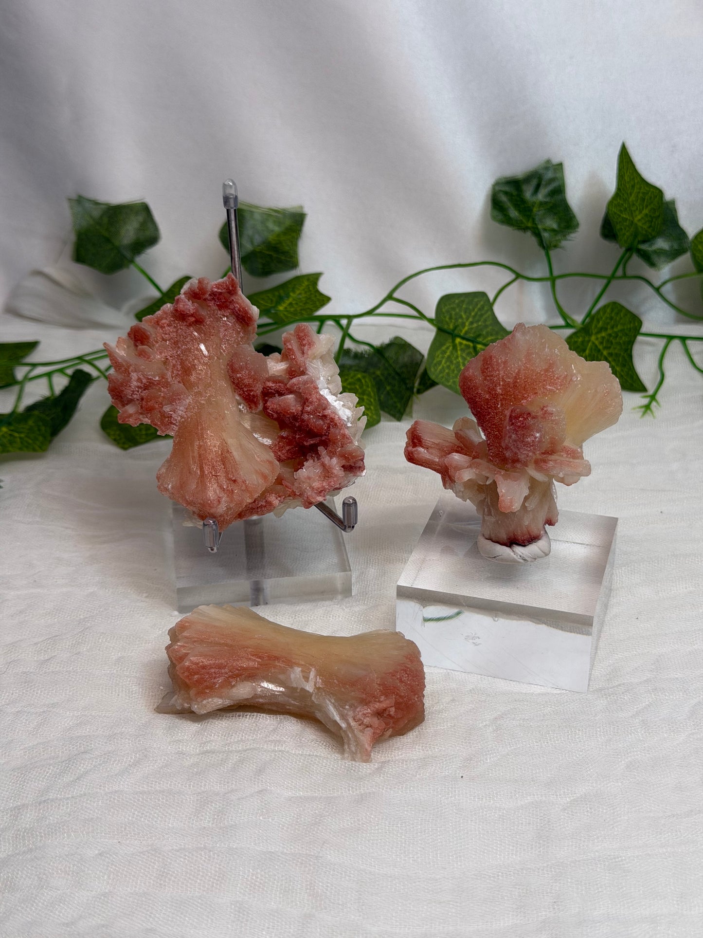 Hematite Coated Peach Stilbite Bows