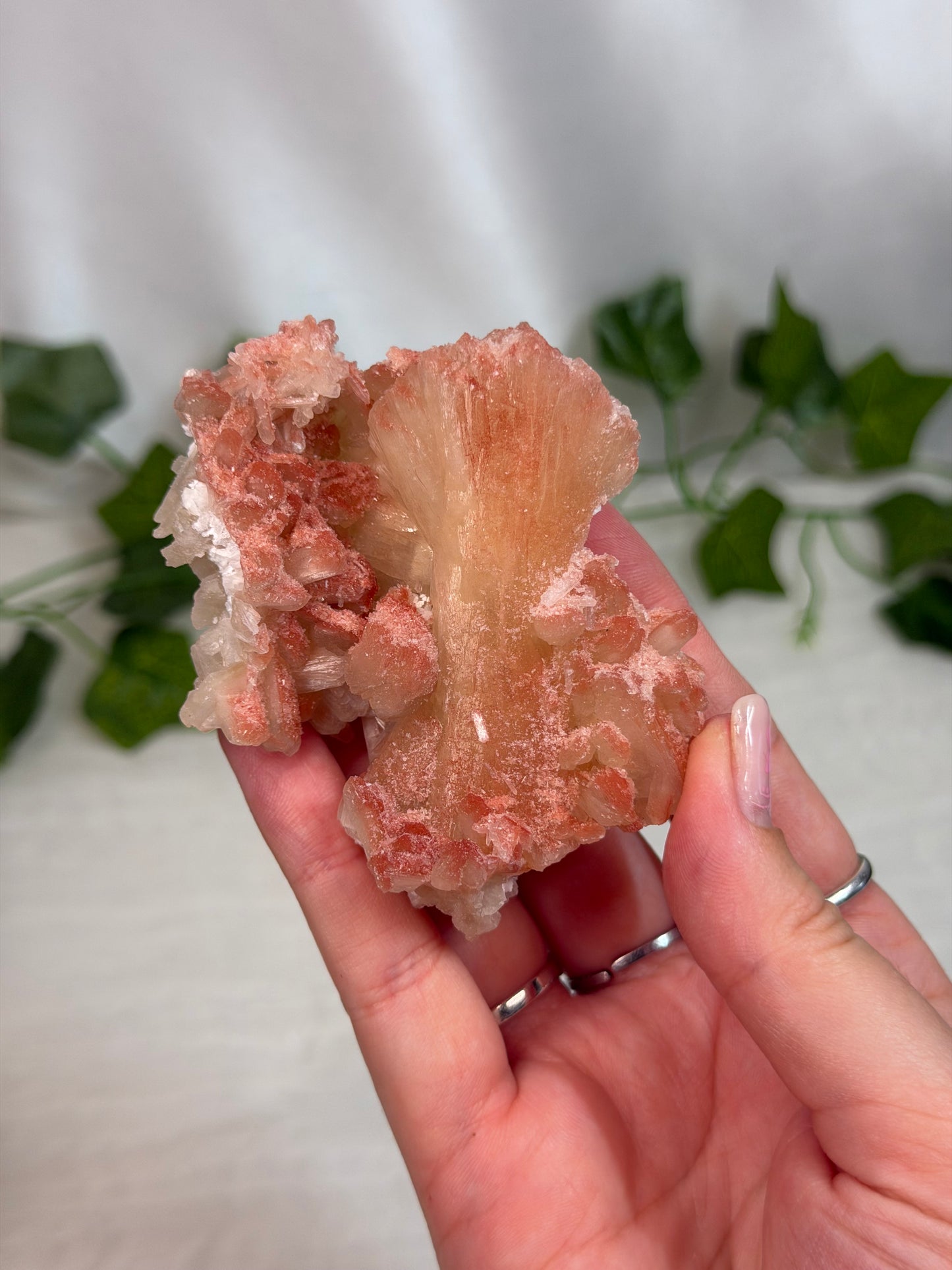 Hematite Coated Peach Stilbite Bows