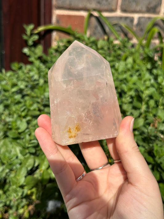 Rose x Golden Healer Tower