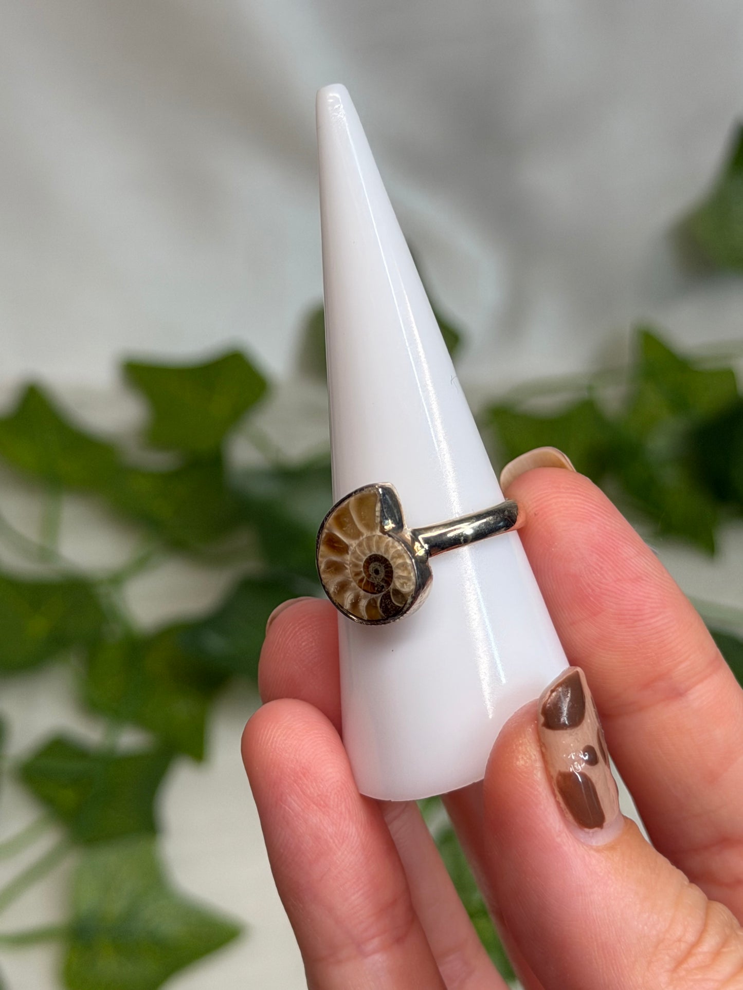 Ammonite Ring Size R (925 Sterling Silver)