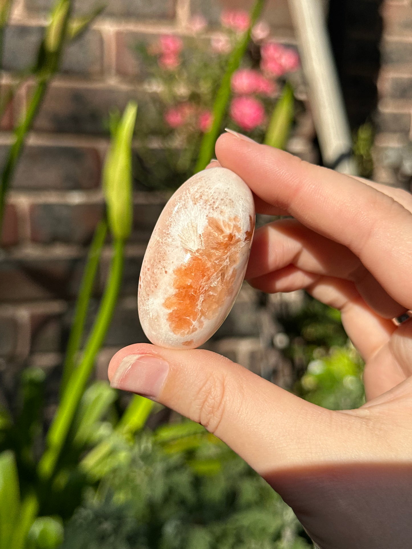Peach Scolecite Shivas