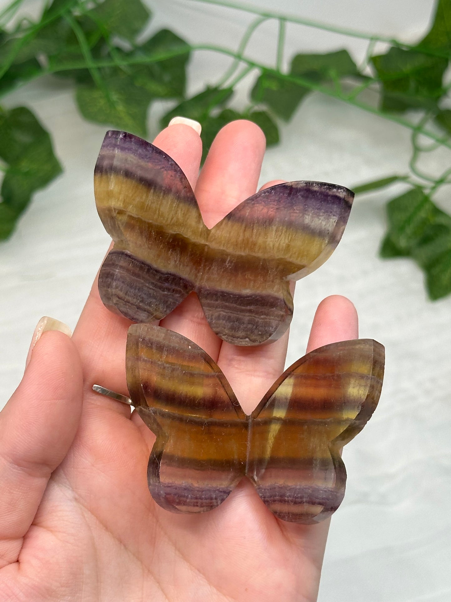 Fluorite Butterfly