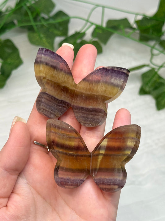 Fluorite Butterfly