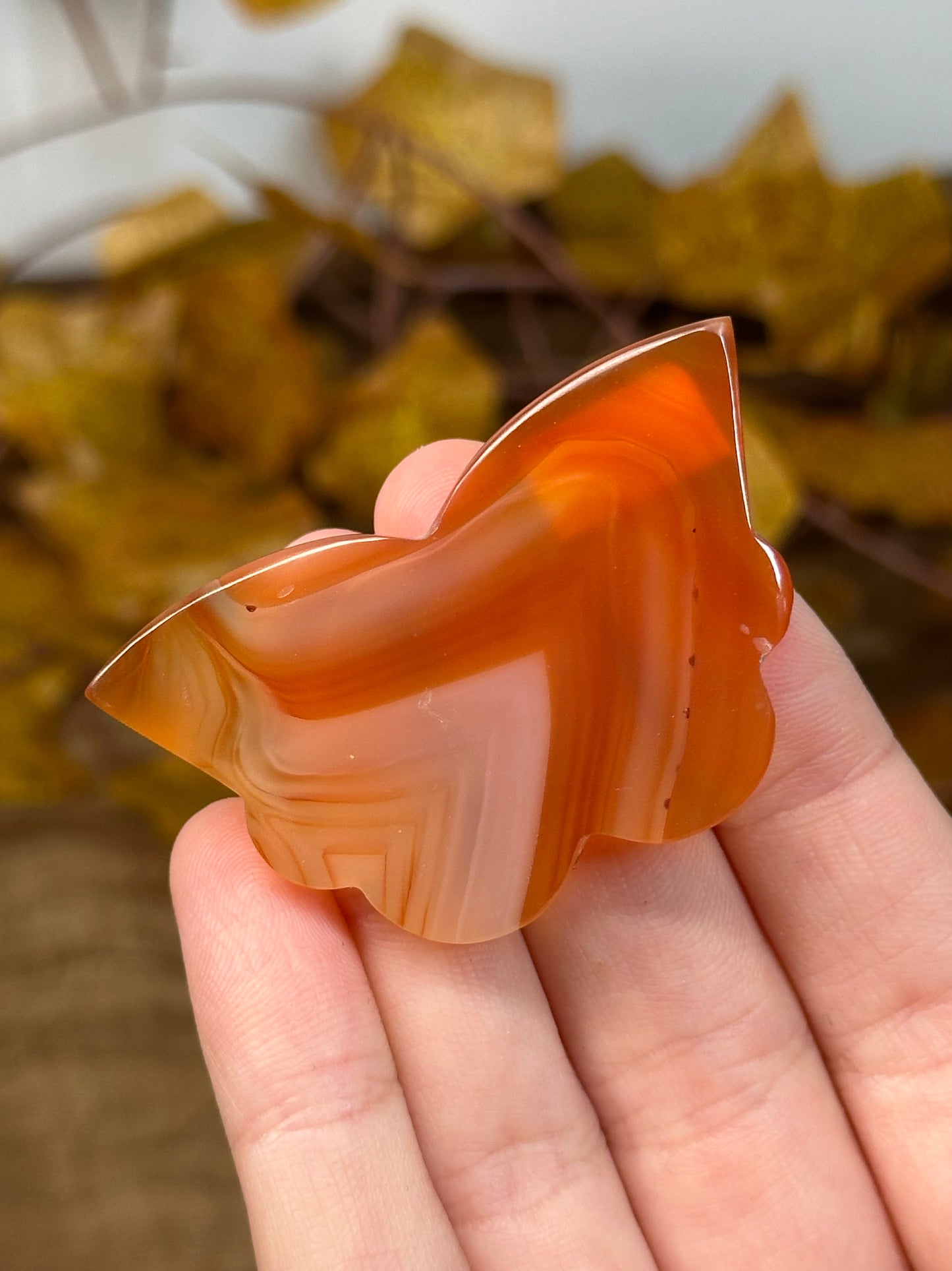 Carnelian Butterfly
