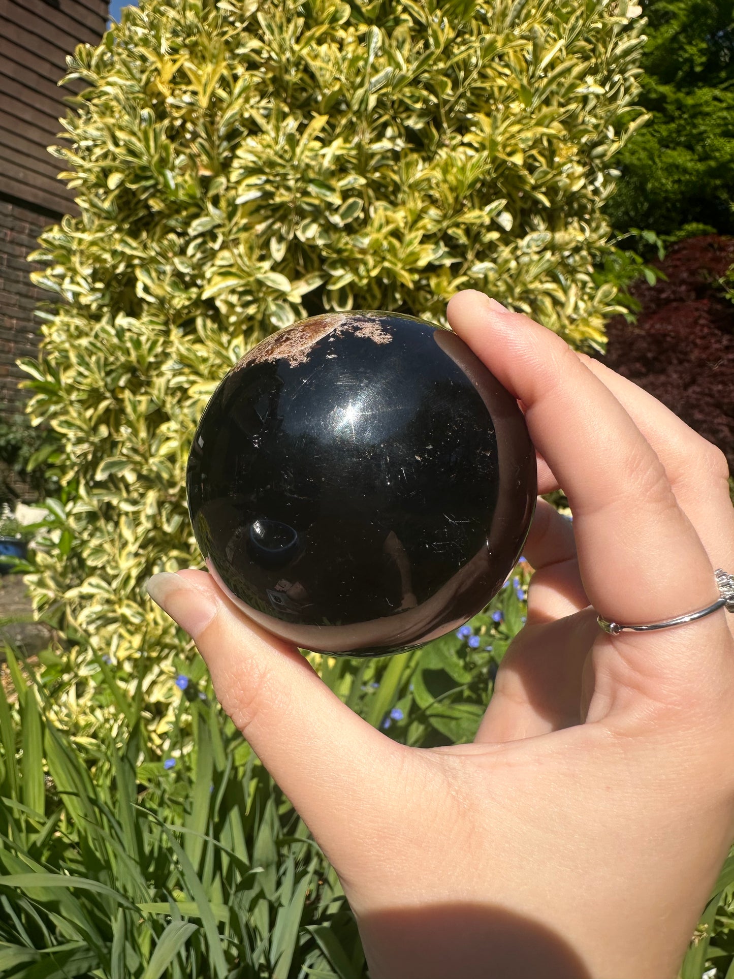Indonesian Amber Sphere A