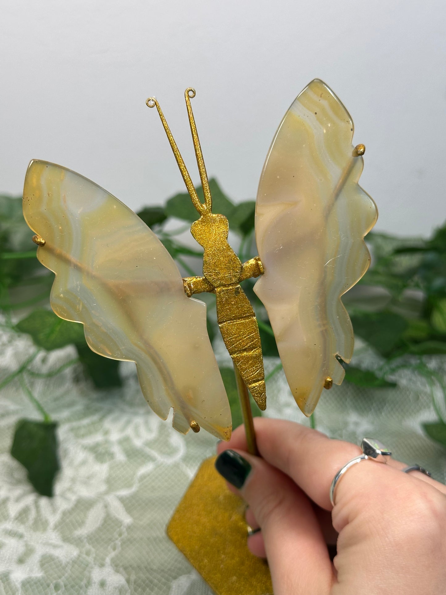 Iris Agate Butterfly B