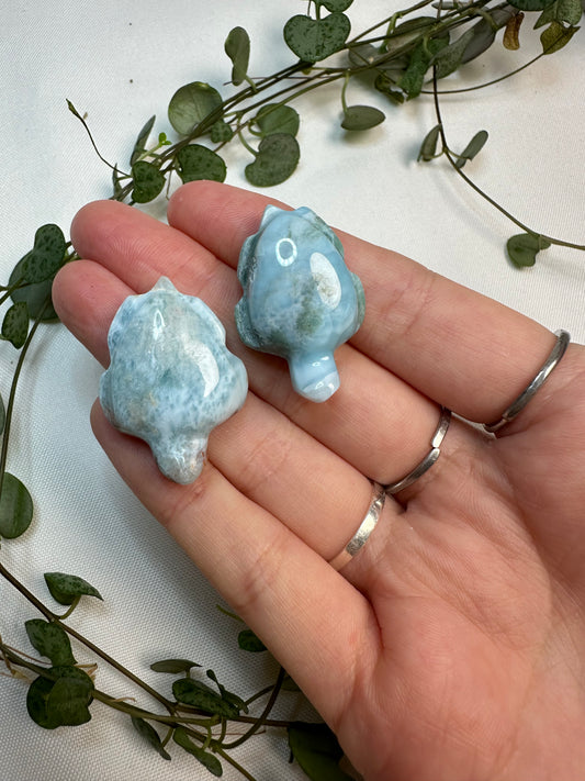 Larimar Turtles