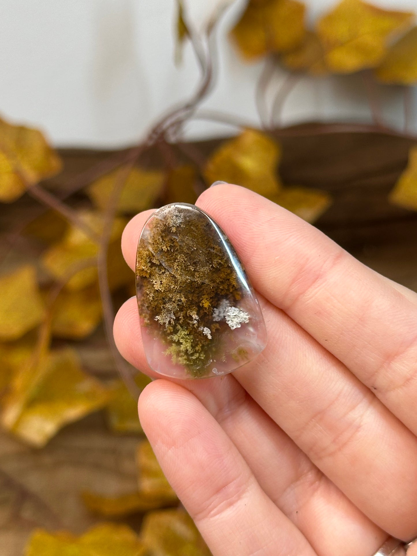 Scenic Moss Agate Cabochons